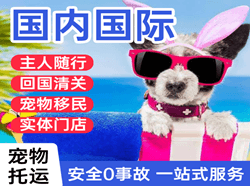乌兰察布集宁机场货运国际宠物托运 【国
